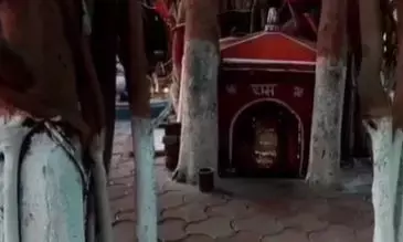 वट वृक्ष की जड़ों से बनाया एक अनोखा शिव मंदिर, यहां होते हैं तीनो लोकों के दर्शन वट वृक्ष की जड़ों से बनाया एक अनोखा शिव मंदिर, यहां होते हैं तीनो लोकों के दर्शन