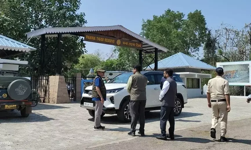 हाईकोर्ट के मुख्य न्यायाधीश पन्ना टाइगर रिजर्व के भ्रमण के लिए पहुंचे