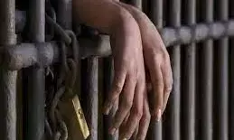 नवविवाहिता को खुदकुशी के लिए प्रताडि़त करने पर पति समेत तीन को जेल