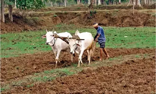 बारिश के पहले सीमांकन कराने की चाह, डेढ़ हजार प्रकरण अटके