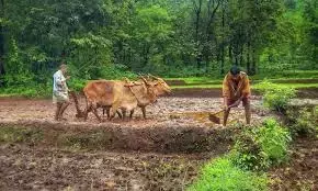 प्राकृतिक आपदा घोषित : लगातार बारिश से हुए नुकसान के लिए किसानों को तत्काल मदद देने के निर्देश