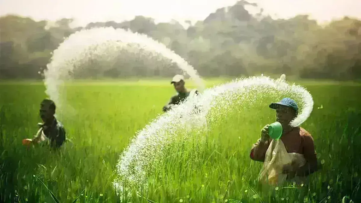 खरीफ सत्र में किसानों को मिलेगी 1.08 लाख करोड़ रुपए की उर्वरक सब्सिडी खरीफ सत्र में किसानों को मिलेगी 1.08 लाख करोड़ रुपए की उर्वरक सब्सिडी