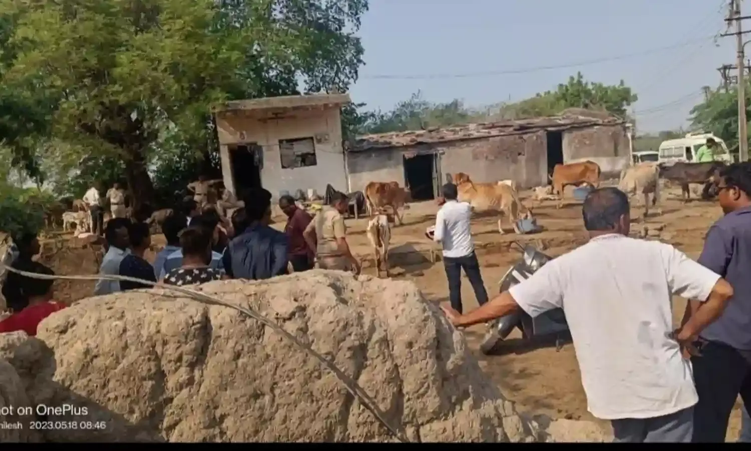 तबेले के पास अर्धनग्न अवस्था में मिला शव, समलैंगिक साथी की हत्या