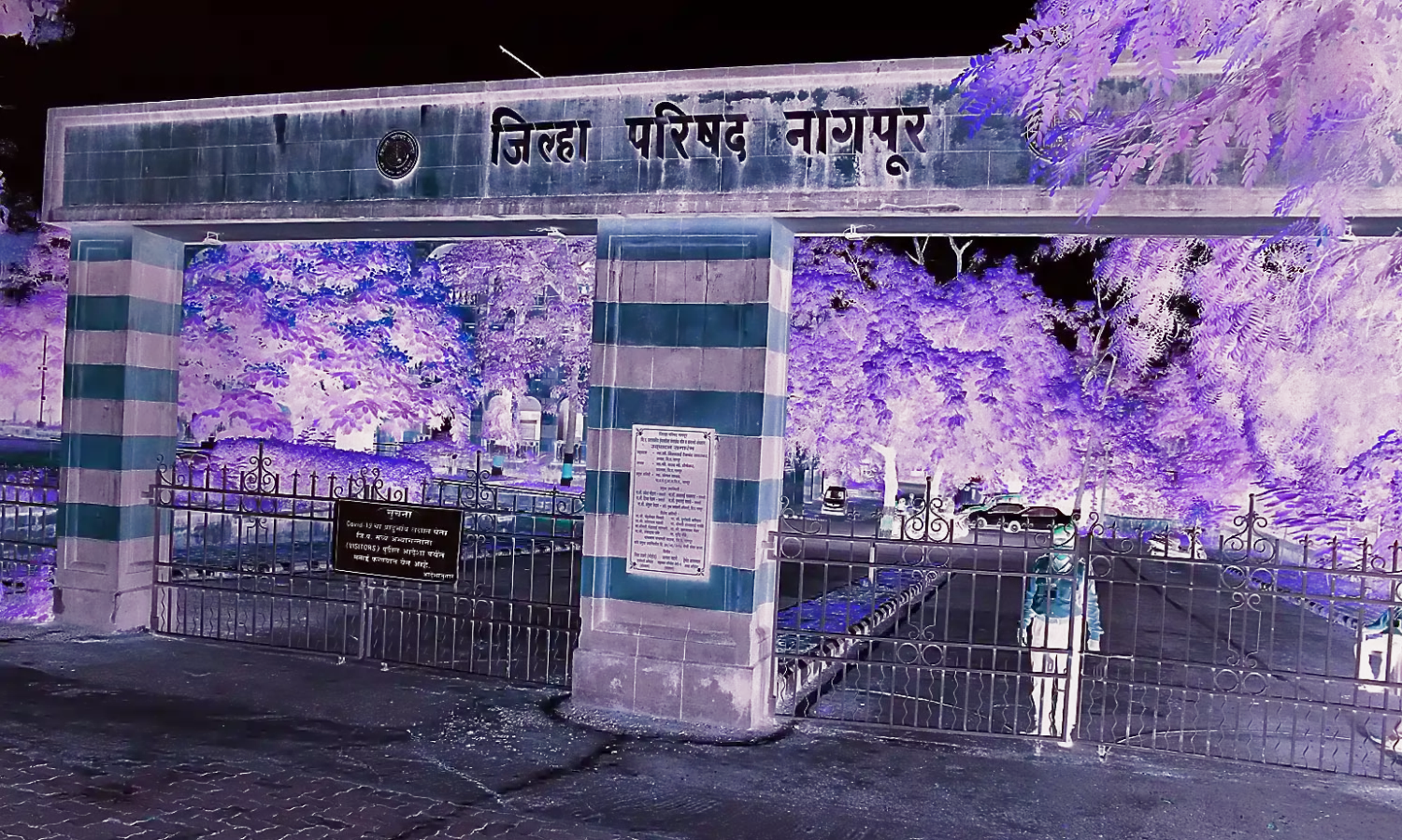 जिप ने मांगे 60 करोड़ मंजूर हुए मात्र 5 करोड़ रुपए