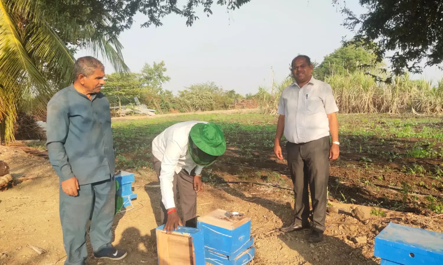 विश्व मधुमक्खी दिवस :  शहद के गांव मांघर में मधुमक्खियां देखने आए सालभर में एक लाख पर्यटक