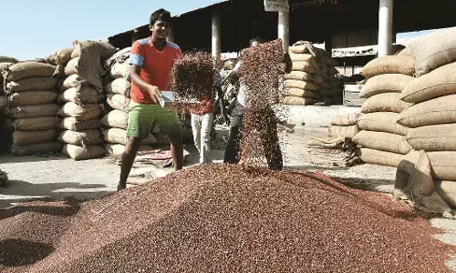 मंडी में तुअर के दाम में उछाल, किसानों की लग गई थी भीड़ मंडी में तुअर के दाम में उछाल, किसानों की लग गई थी भीड़