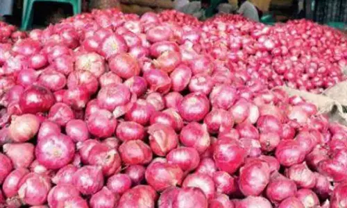 प्याज भंडारण के लिए गोदाम बनाने अब मिलेगा मनरेगा से अनुदान प्याज भंडारण के लिए गोदाम बनाने अब मिलेगा मनरेगा से अनुदान