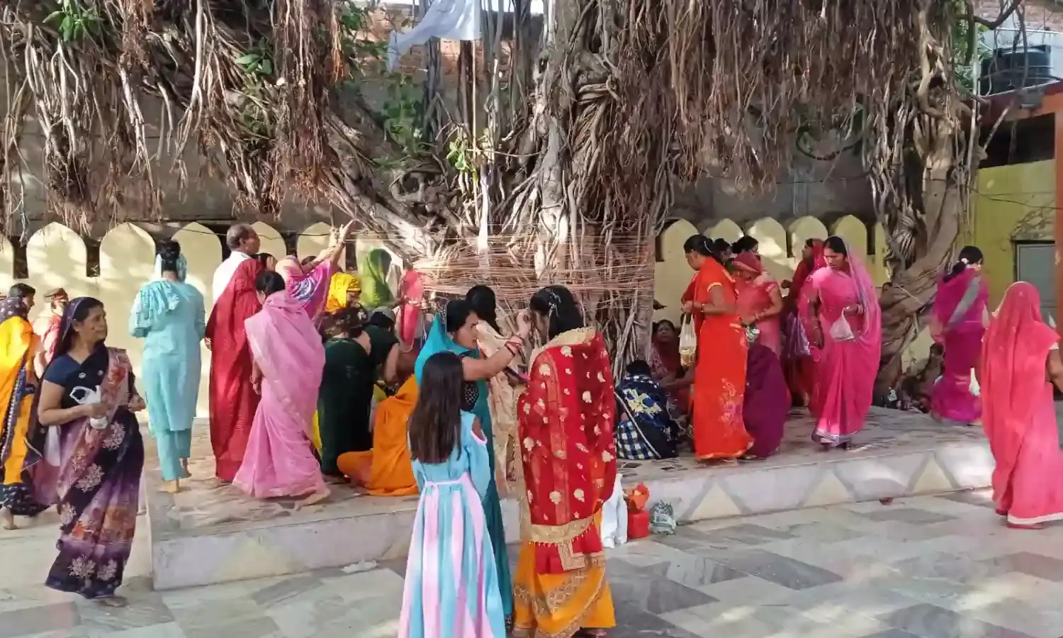 वटसावित्री व्रत पर महिलाओं ने की पूजा-अर्चना, बरगद के पेड में पूजा कर लगाये परिक्रमा