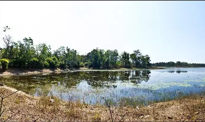 सैलानियों को सौगात - पहली बार बारिश में जंगल सफारी, मोगरकसा तैयार