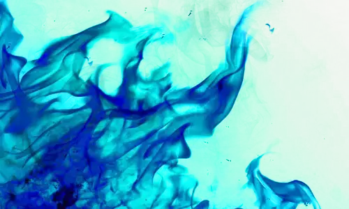 गैस सिलेंडर लीक होने से फ्लैट में लगी आग, मां की मौत, बेटी गंभीर गैस सिलेंडर लीक होने से फ्लैट में लगी आग, मां की मौत, बेटी गंभीर