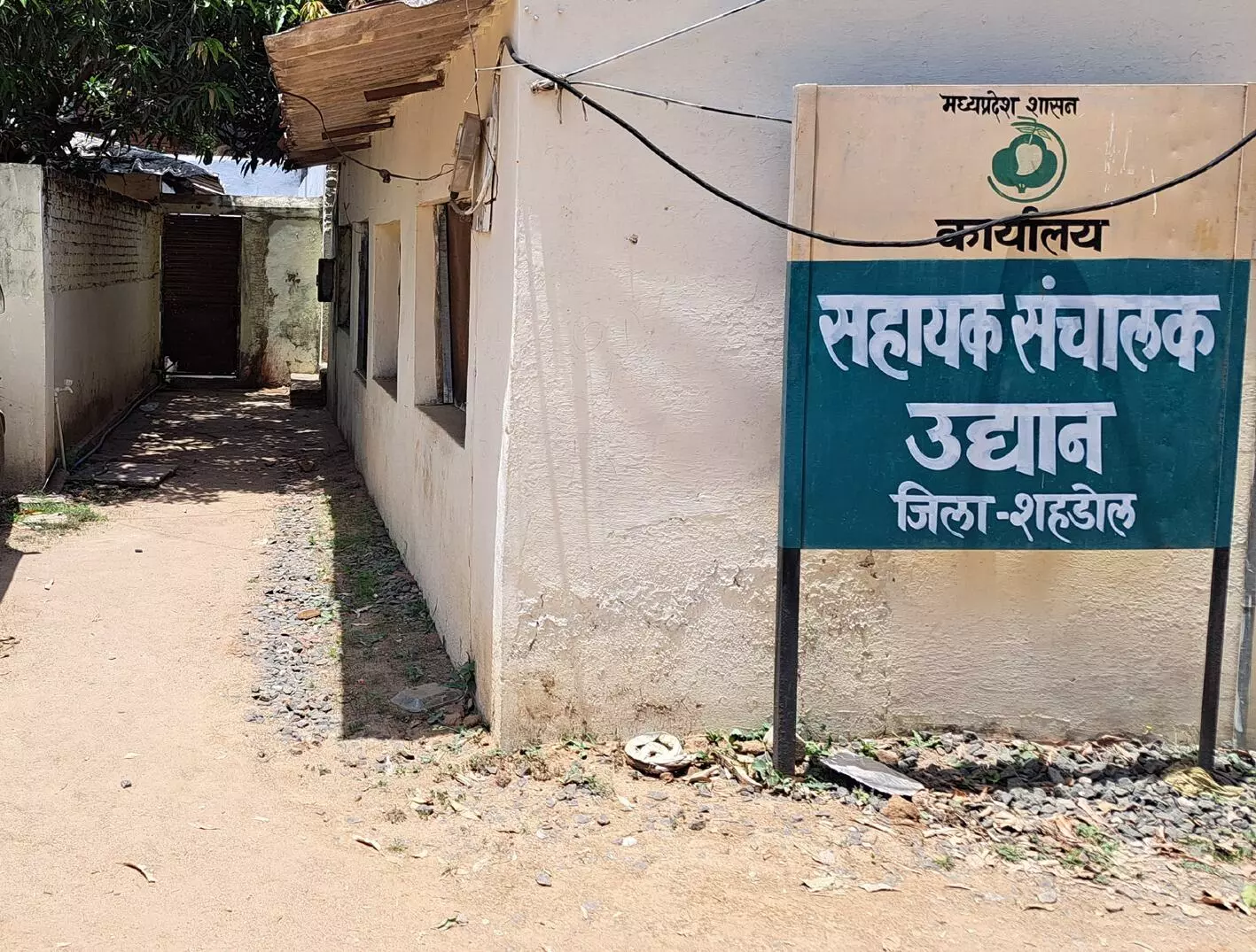 एक जिला एक उत्पाद : समूहों को स्वरोजगार से जोडऩे में लापरवाही एक जिला एक उत्पाद : समूहों को स्वरोजगार से जोडऩे में लापरवाही