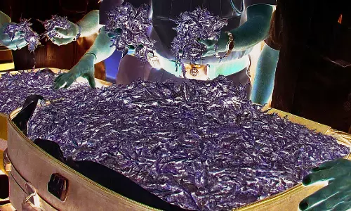 गांजा व शस्त्रों के साथ कैब चालक गिरफ्तार गांजा व शस्त्रों के साथ कैब चालक गिरफ्तार