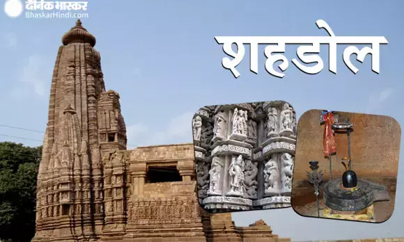 ज्यादातर एसआईटी एडिशनल एसपी के नेतृत्व में गठित हुई, कई मामलों में नतीजे तक नहीं पहुंची जांच