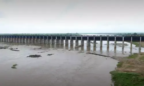 1 जून से खुलेंगे चिचडोह के 38 गेट