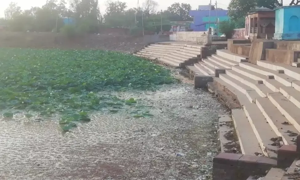 रैपुरा का तालाब जलकुंभी व गंदगी से पटा