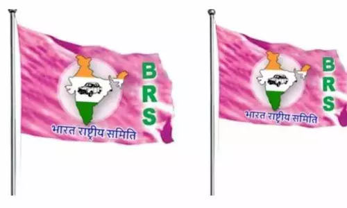 बीआरएस हुई सक्रिय : उपराजधानी में नजर आने लगे पार्टी के झंडे- चुनावों में भागीदारी पर फोकस