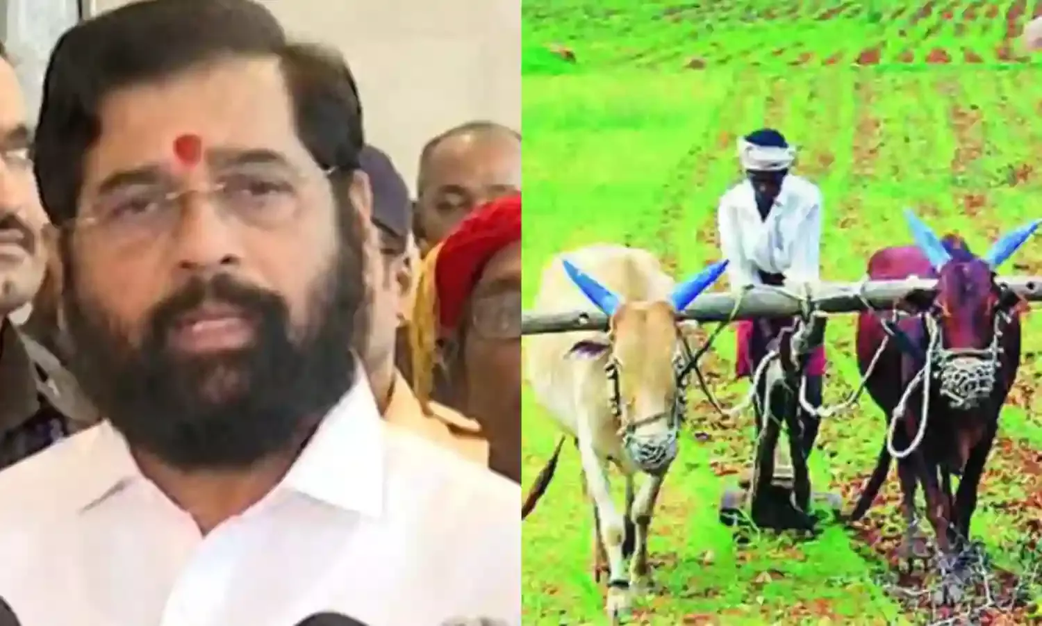 किसानों पर मेहरबान शिंदे-फडणवीस सरकार, देगी छह हजार रुपए प्रति वर्ष, एक रुपए में फसल बीमा