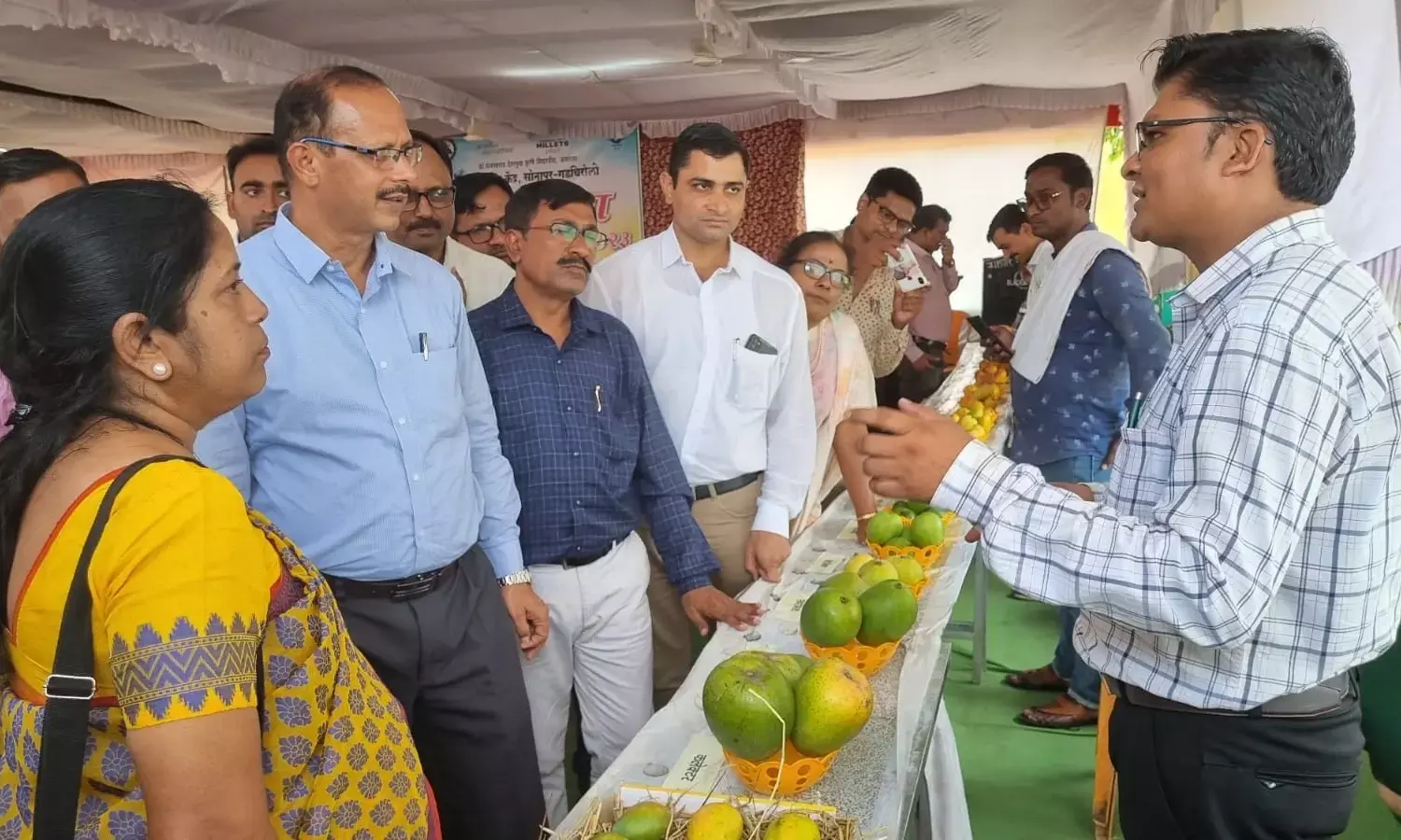 फलों का राजा है आम, गड़चिरोली के ‘कलेक्टर’ का प्रचार और संवर्धन जरूरी