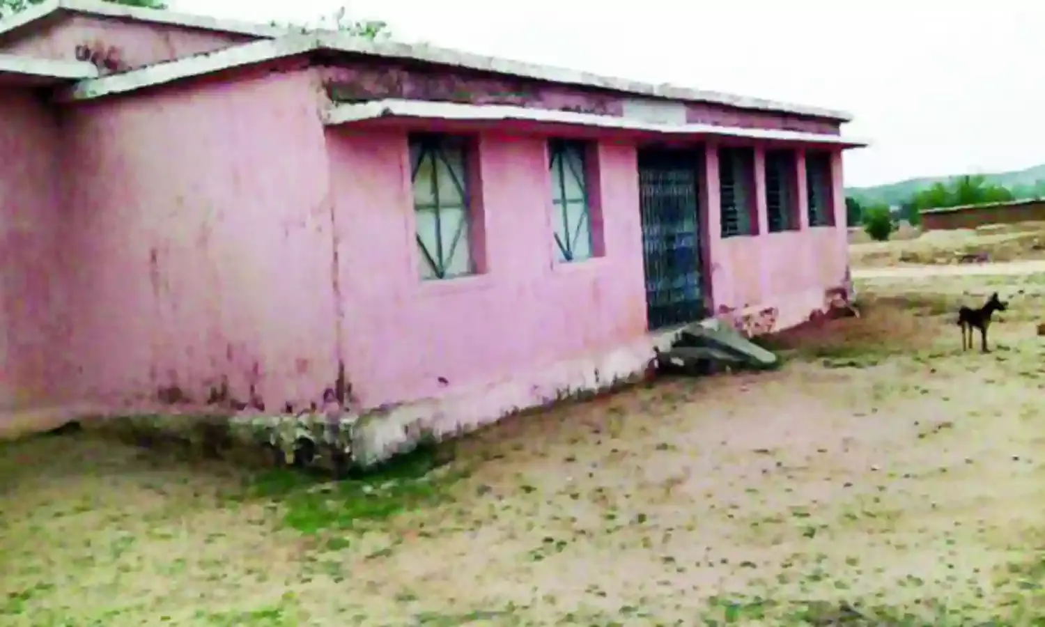 297 जिप शालाएं गौशाला में हो रहीं तब्दील