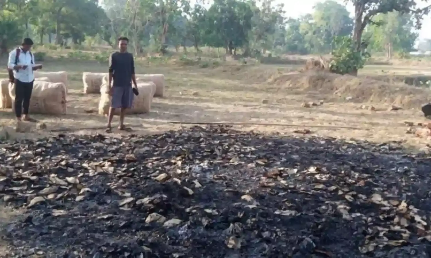 नक्सलियों ने तीन गांवों के तेंदूपत्तों को लगा दी आग