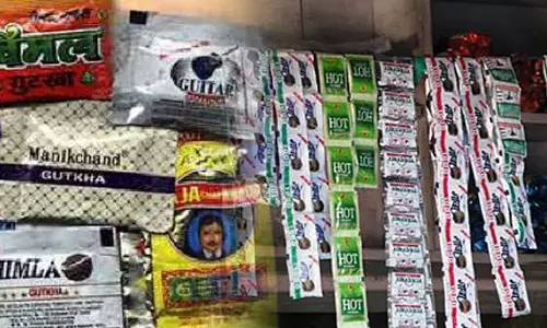 रायपुर में मिला अवैध गोदाम में नकली गुटखा, नागपुर कनेक्शन का संदेह रायपुर में मिला अवैध गोदाम में नकली गुटखा, नागपुर कनेक्शन का संदेह