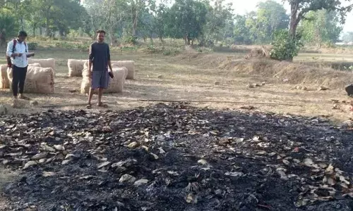 नक्सलियों ने तीन गांवों के तेंदूपत्तों को लगा दी आग नक्सलियों ने तीन गांवों के तेंदूपत्तों को लगा दी आग