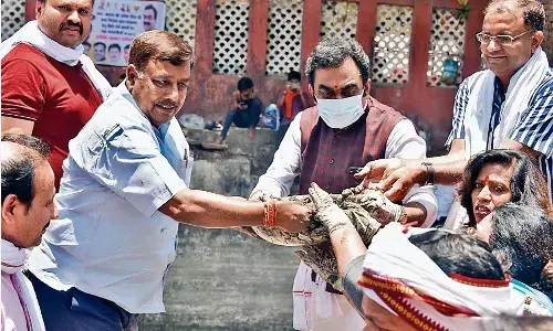 स्वच्छ हुई धरोहर : जल रक्षा अभियान के दूसरे दिन सांसद राकेश सिंह के साथ लोगों ने गढ़ा बावड़ी में किया श्रमदान