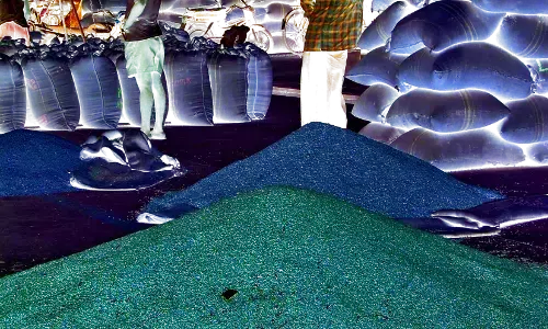 तुअर के दाम बढ़ने से किसानों के खिले चेहरे तुअर के दाम बढ़ने से किसानों के खिले चेहरे