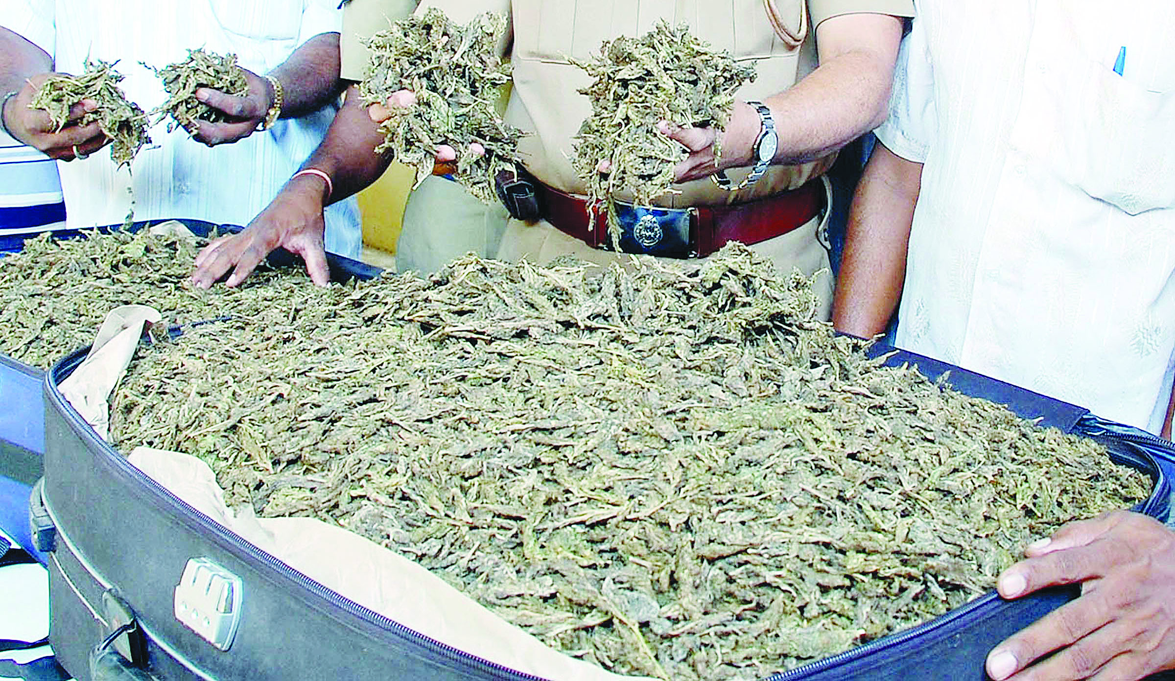 जल्द पैसा कमाने के चक्कर में फूल बेचते-बेचते बेचने लगे मौत का सामान जल्द पैसा कमाने के चक्कर में फूल बेचते-बेचते बेचने लगे मौत का सामान