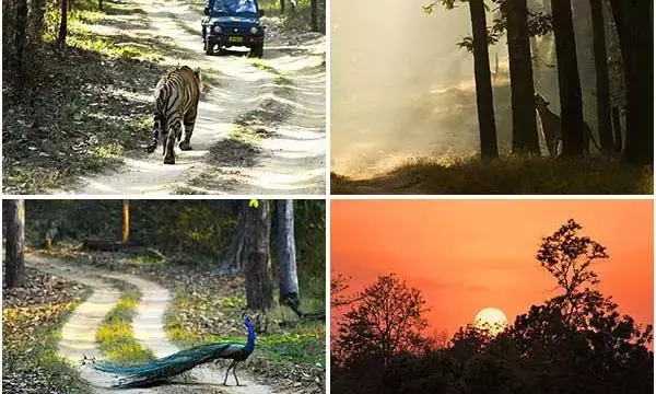 नारा में नेशनल पार्क बनाने का रास्ता साफ
