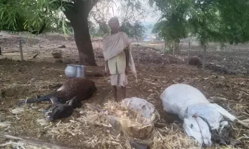 मौसम ने ली करवट: गरज चमक के साथ हुई बारिश पश्चिमी विक्षोभ का असर, तापमान में आई गिरावट मौसम ने ली करवट: गरज चमक के साथ हुई बारिश पश्चिमी विक्षोभ का असर, तापमान में आई गिरावट