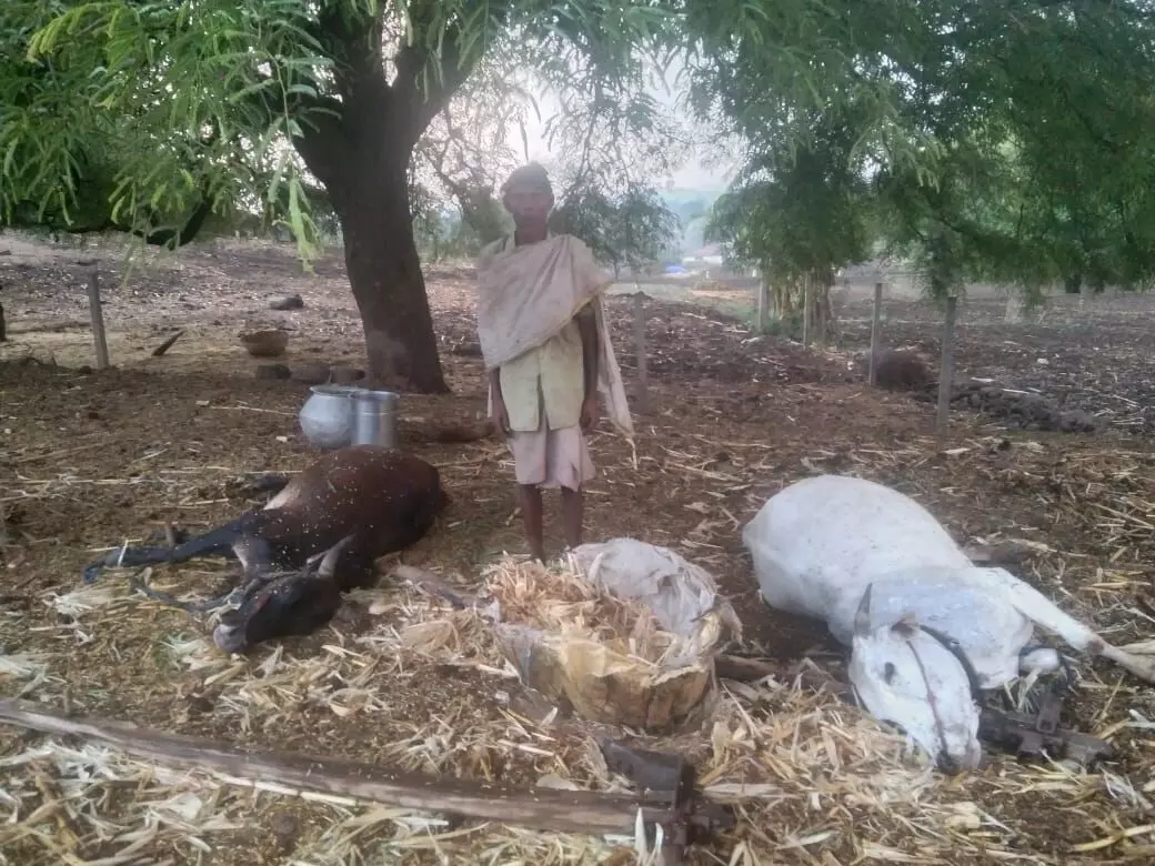 मौसम ने ली करवट: गरज चमक के साथ हुई बारिश पश्चिमी विक्षोभ का असर, तापमान में आई गिरावट मौसम ने ली करवट: गरज चमक के साथ हुई बारिश पश्चिमी विक्षोभ का असर, तापमान में आई गिरावट