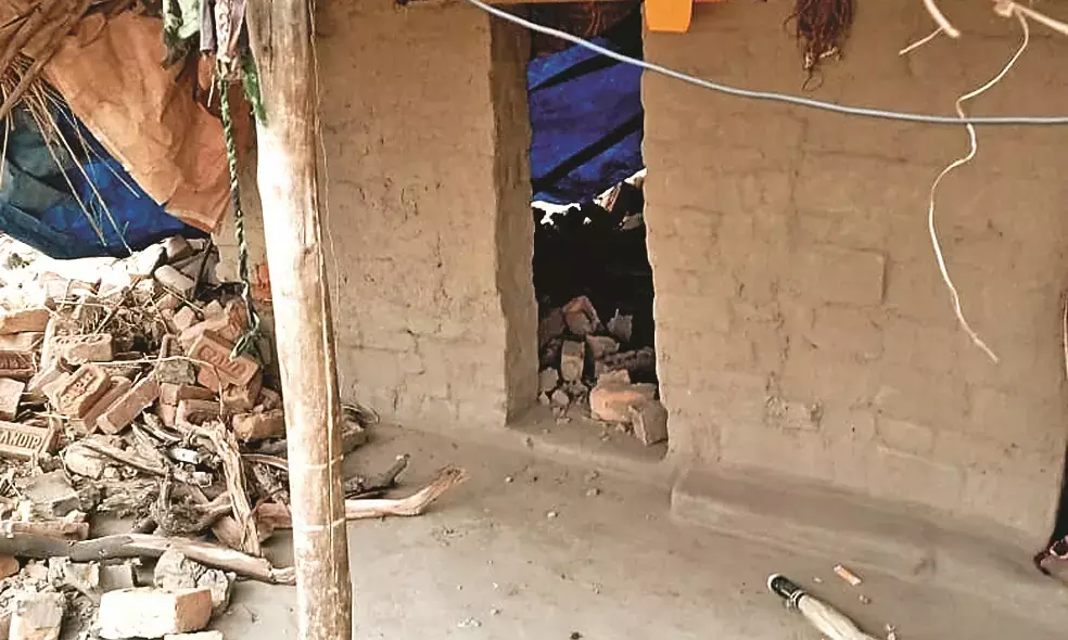 सर्पदंश - पत्नी को अस्पताल ले गया पति भी बेहोश होकर गिरा
