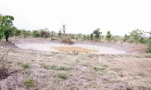 लेपर्ड सफारी में सूख गए जलस्रोत, 15 दिन से नहीं भरा गया पानी लेपर्ड सफारी में सूख गए जलस्रोत, 15 दिन से नहीं भरा गया पानी