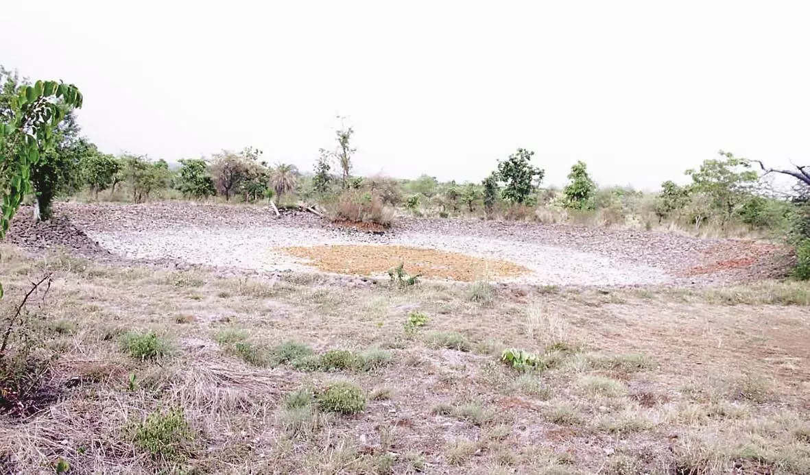 लेपर्ड सफारी में सूख गए जलस्रोत, 15 दिन से नहीं भरा गया पानी लेपर्ड सफारी में सूख गए जलस्रोत, 15 दिन से नहीं भरा गया पानी