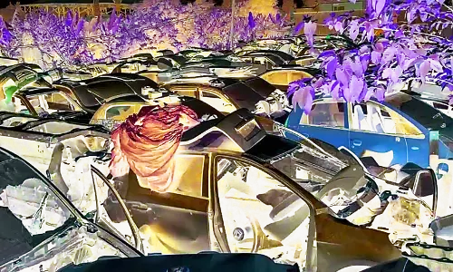 अब जब्त वाहनों को जल्द नीलाम करेगा आरटीओ अब जब्त वाहनों को जल्द नीलाम करेगा आरटीओ