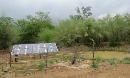 ताड़ोबा के ग्रीन एनर्जी की ओर बढ़ रहे कदम, 95 प्रतिशत कोर क्षेत्र सोलर युक्त ताड़ोबा के ग्रीन एनर्जी की ओर बढ़ रहे कदम, 95 प्रतिशत कोर क्षेत्र सोलर युक्त