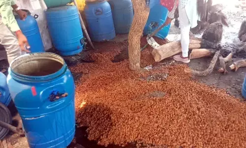 लाखों रुपए का 29 ड्रम महुए का सड़वा बरामद लाखों रुपए का 29 ड्रम महुए का सड़वा बरामद