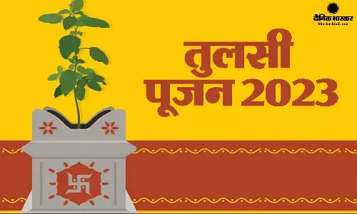 रोजाना तुलसी पूजा से घर में आएगी सुख- समृद्धि, मिलेगा मां लक्ष्मी का आशीर्वाद रोजाना तुलसी पूजा से घर में आएगी सुख- समृद्धि, मिलेगा मां लक्ष्मी का आशीर्वाद