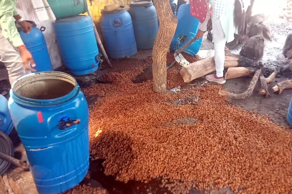 लाखों रुपए का 29 ड्रम महुए का सड़वा बरामद लाखों रुपए का 29 ड्रम महुए का सड़वा बरामद