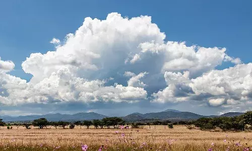 अब किसानो को बारिश का इंतजार - मृग नक्षत्र के पहले दिन आसमान में छाए  बादल