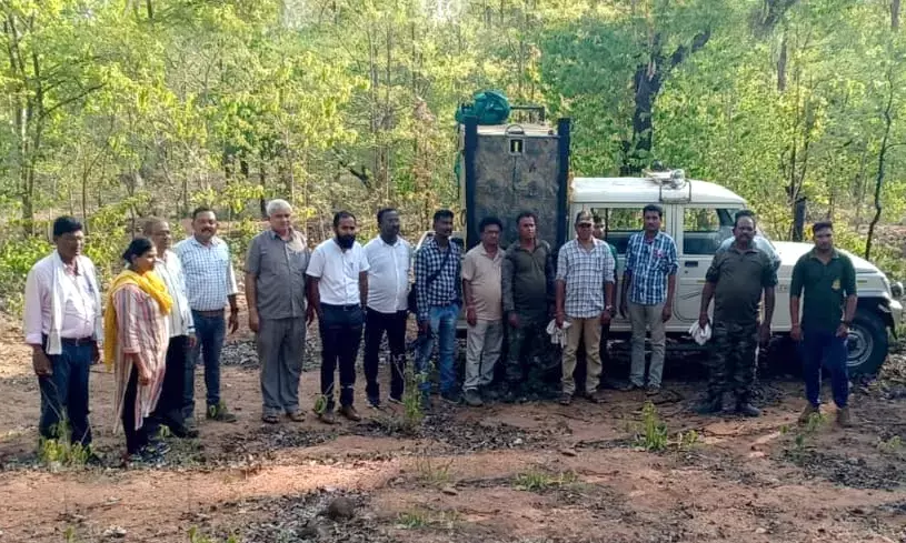 वन विभाग ने तेंदुए के शावक को पिंजरे में किया कैद