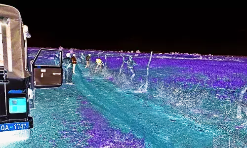 वन विभाग की जमीन निगल रहे अतिक्रमणकारी वन विभाग की जमीन निगल रहे अतिक्रमणकारी