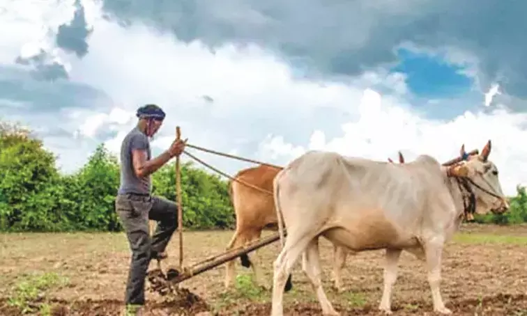 खरीफ की तैयार में जुटे किसान, अच्छी फसल की उम्मीद