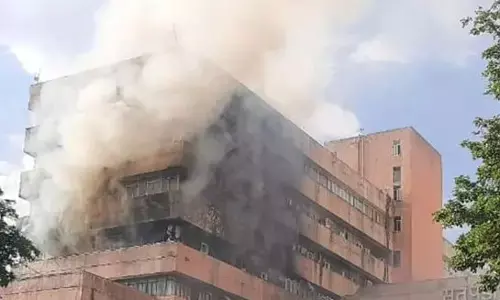 सतपुड़ा में लगी आग की लपटों में सिकना शुरू हुई सियासी रोटियां