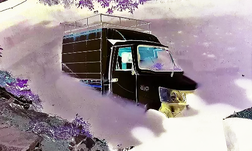 ढलान होने से मिनी मालवाहक नाले में गिरा