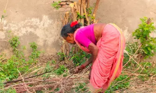 रसोई गैस हुआ महंगा,   चूल्हे पर भोजन पका रहीं महिलाएं