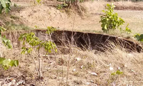 खेतों के अंधे सिंचाई कुएं बन रहे वन्यजीवों के लिए काल