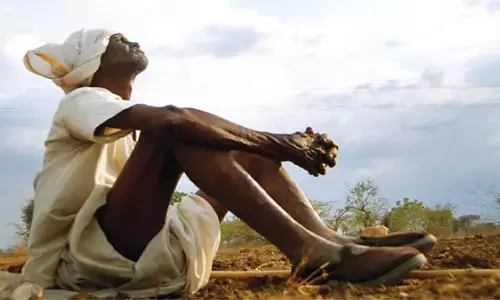 बारिश न होने से चिंता में घिरे किसान बारिश न होने से चिंता में घिरे किसान