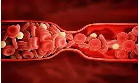 5000 सिकलसेल ग्रस्त, 200 को मिला दिव्यांगता प्रमाण-पत्र